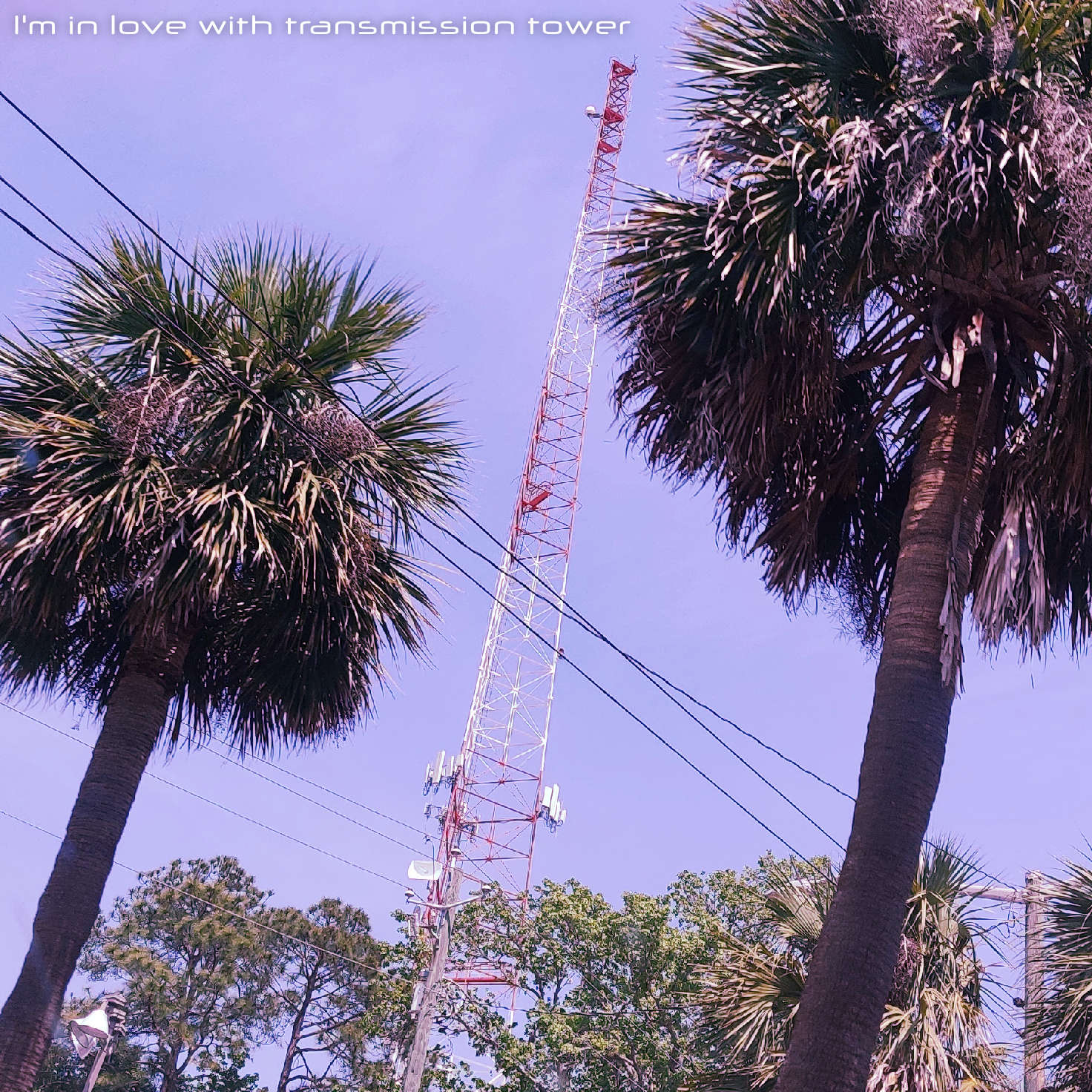 Single cover for the song 'I'm in love with transmission tower'.